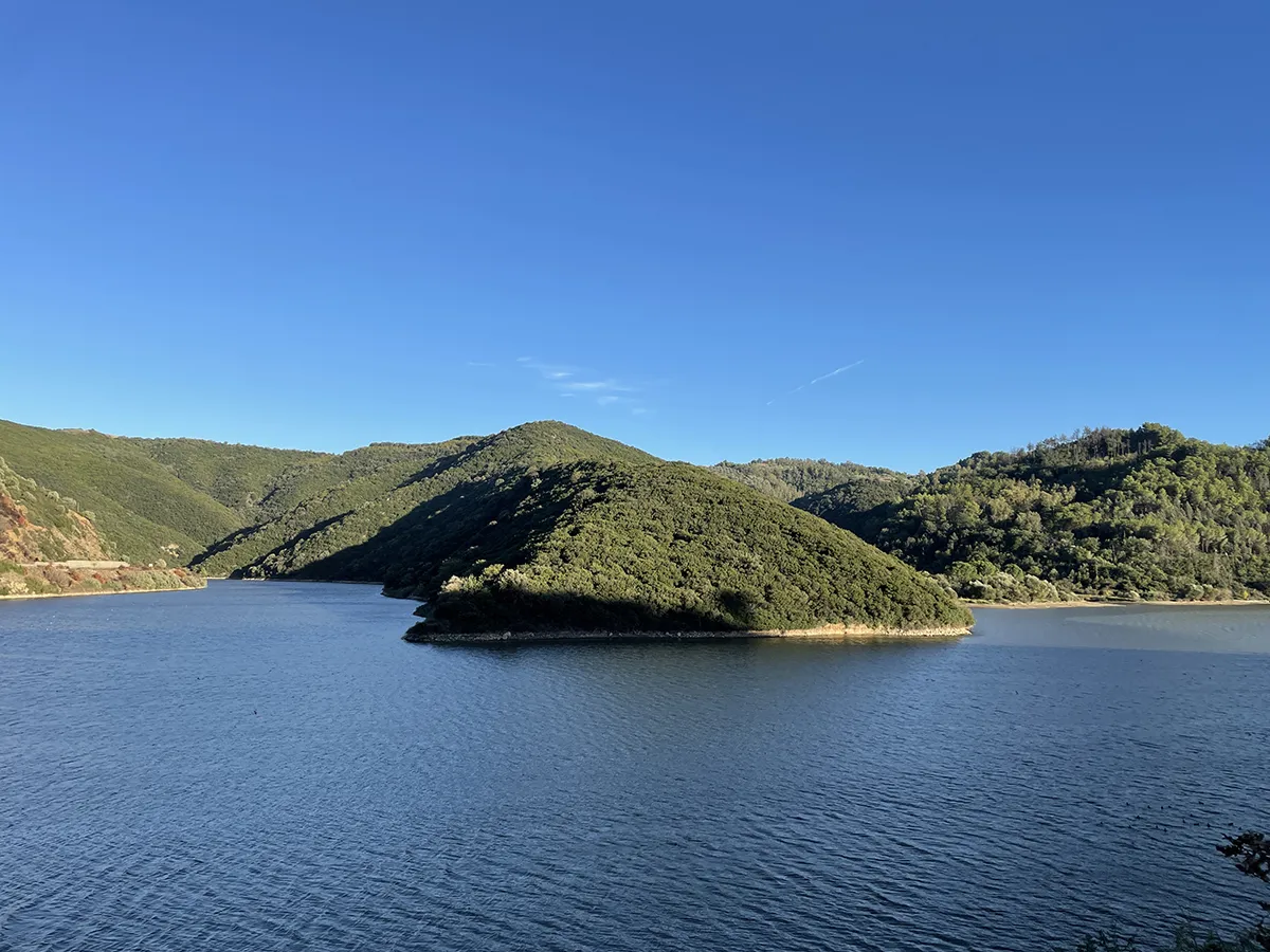 Tarsia